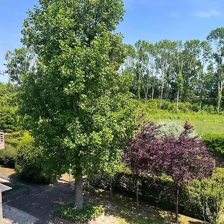 Meravigliosa Casa Con Piscina San Donà di Piave